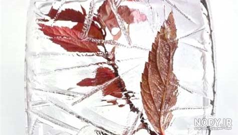 عکس طبیعت یخ زده