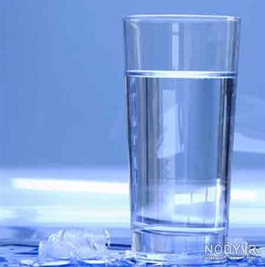 عکس ظرف آب خرگوش عکس ظرف آب خرگوش