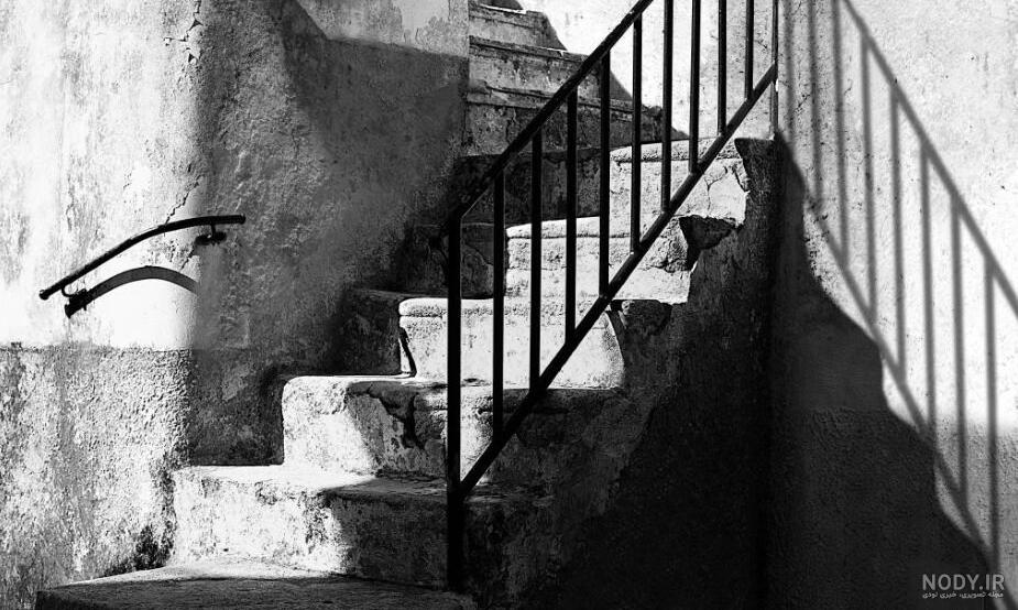 عکس های عباس کیارستمی - مجید کاویان مهر