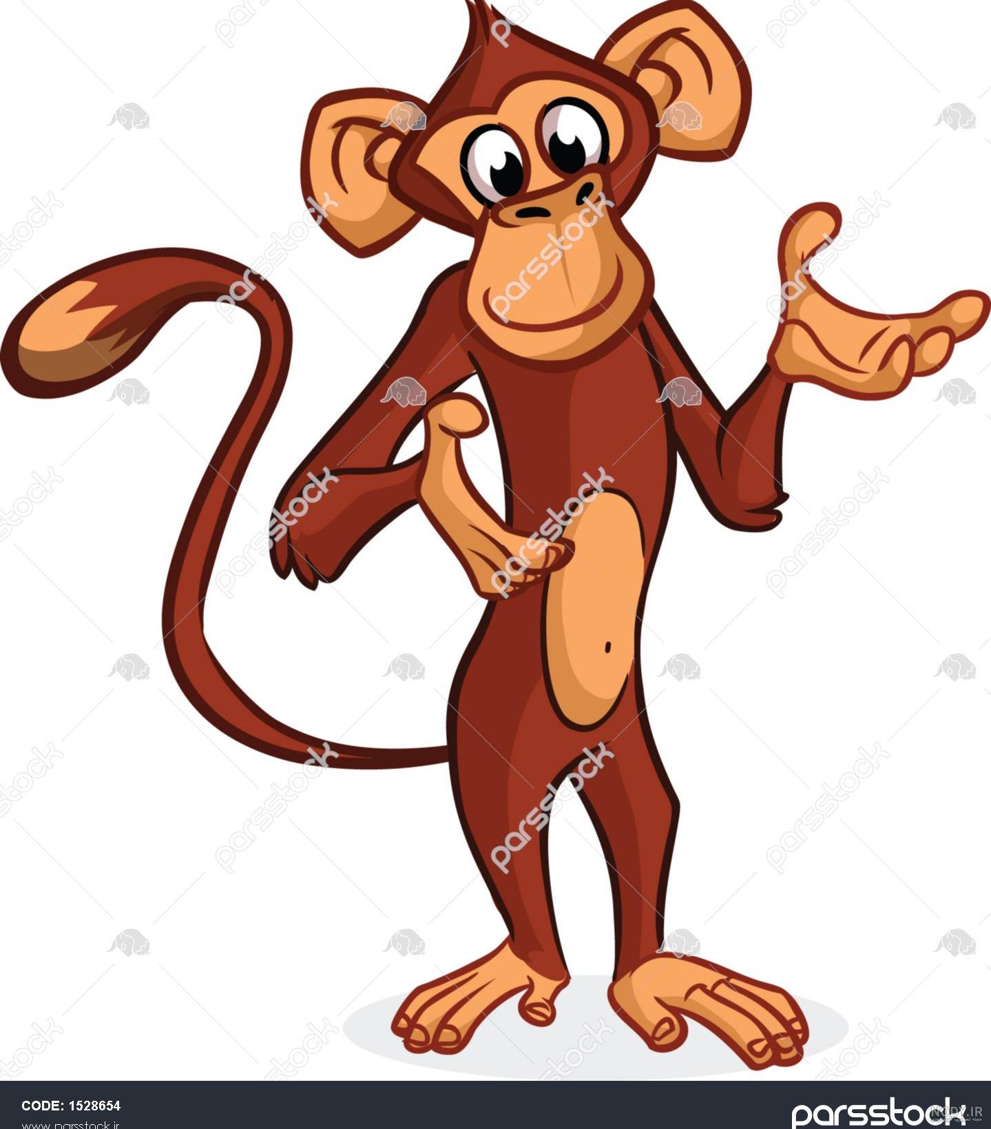 عکس میمون🐒دانلود 16 عکس میمون با کیفیت بالا