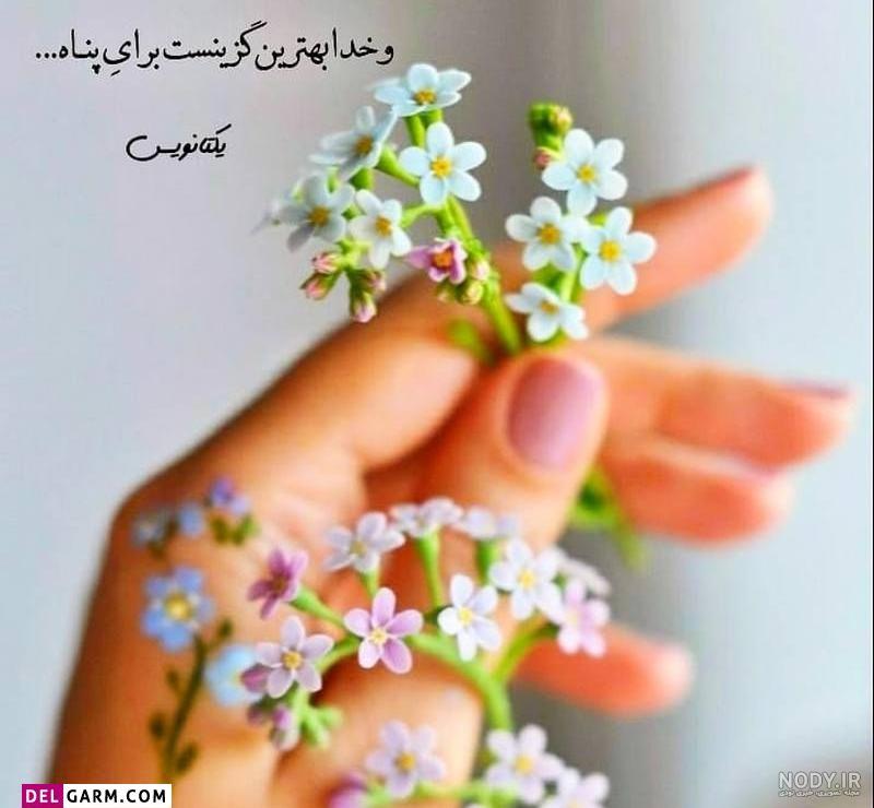 عکس واتساپ جدید | عکس برای پروفایل واتساپ دخترانه | عکس برای ... عکس واتساپ جدید | عکس برای پروفایل واتساپ دخترانه | عکس برای ...