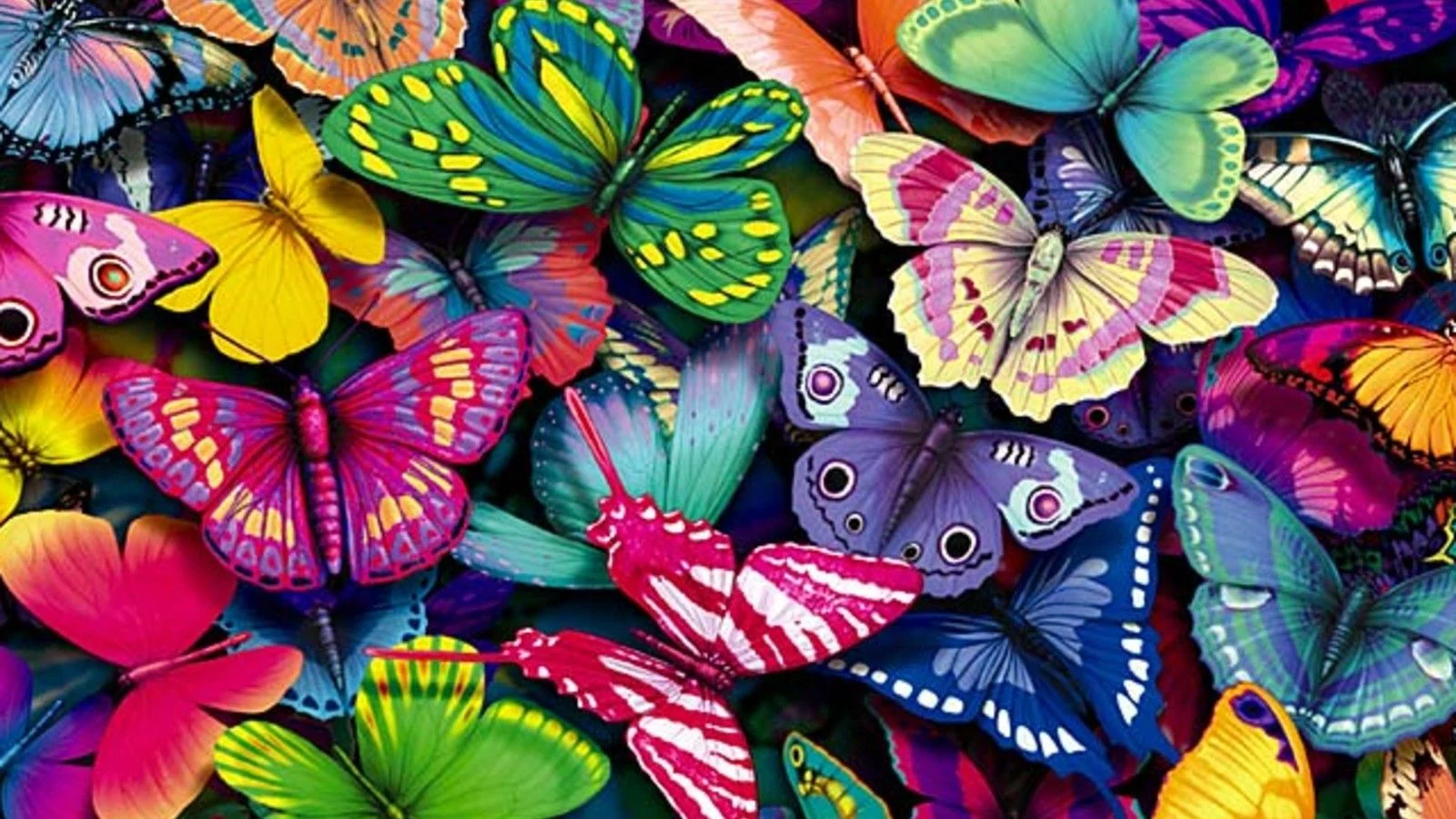 عکس پروانه برای پروفایل 1402 | عکس پروانه برای پروفایل شاد | عکس ...