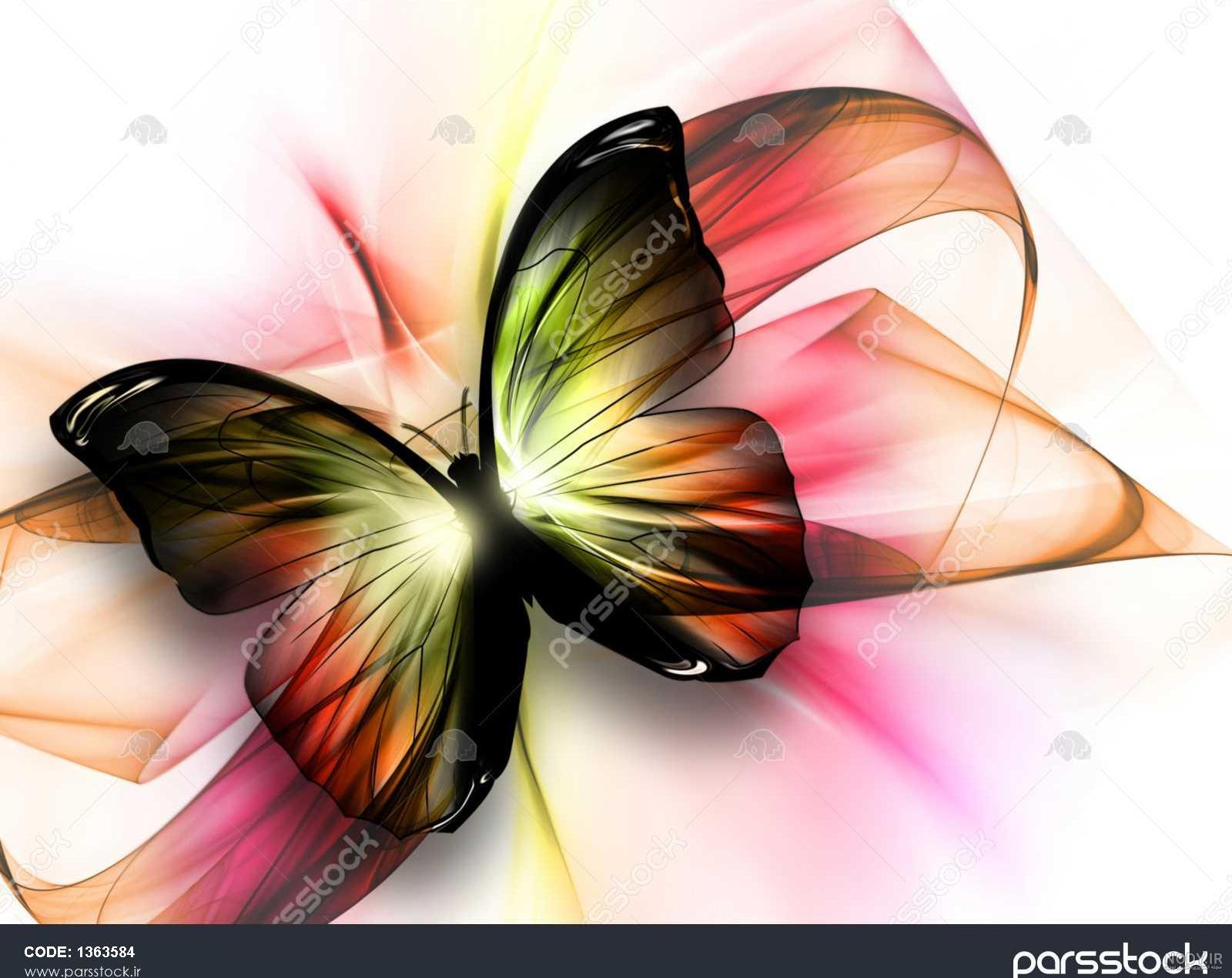 عکس پروانه ی واقعی - عکس نودی