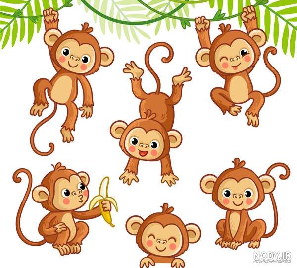 عکس کارتونی از میمون