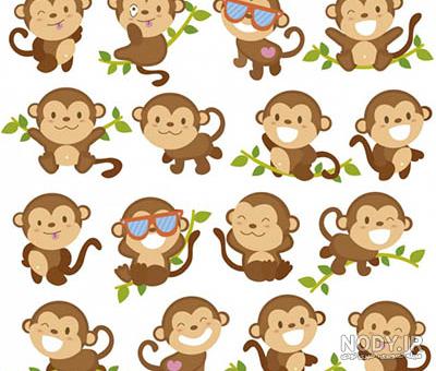 مجموعه عکس های PNG میمون + دانلود رایگان - پارس پی ان جی - PARSPNG