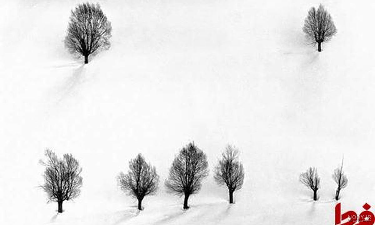 مروری بر نظرات متناقض درباره سینمای عباس کیارستمی | فیلیموشات