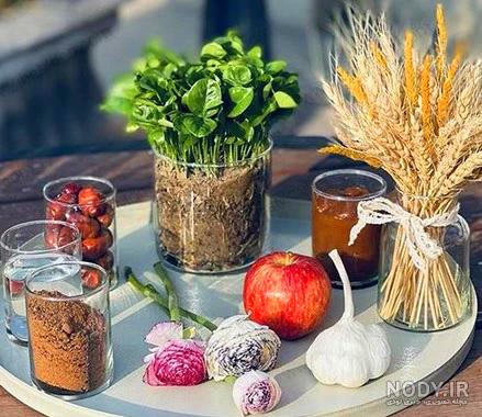 ایده عکس بارداری ساده