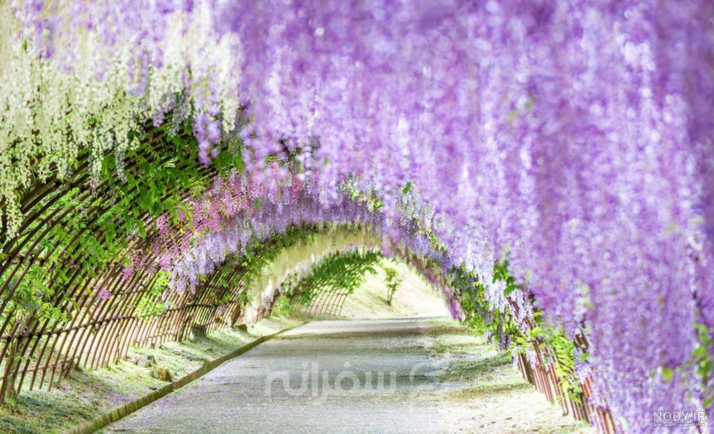 جاذبه‌ های گردشگری ژاپن 2023 | جاهای دیدنی ژاپن | راگنا تربپ