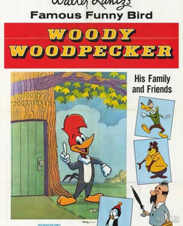 دارکوب زبله) Woody Woodpecker