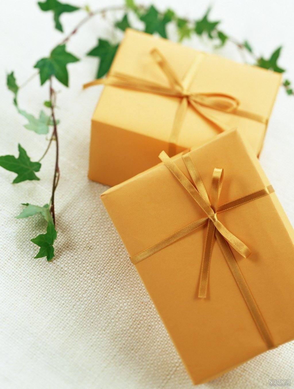 عکس های جدید کادو تولد - مهین فال عکس های جدید کادو تولد - مهین فال