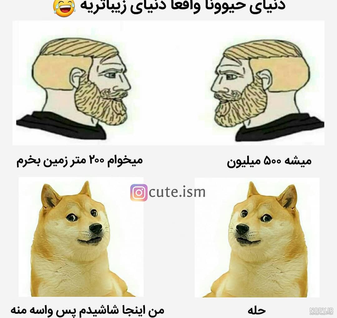 عکس خنده دار؛ عکس نوشته طنز عکس پروفایل خنده دار و تصاویر نوشته دار جالب