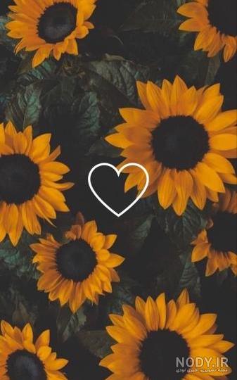 dark wallpaper :: دانلود عکس پس‌زمینه