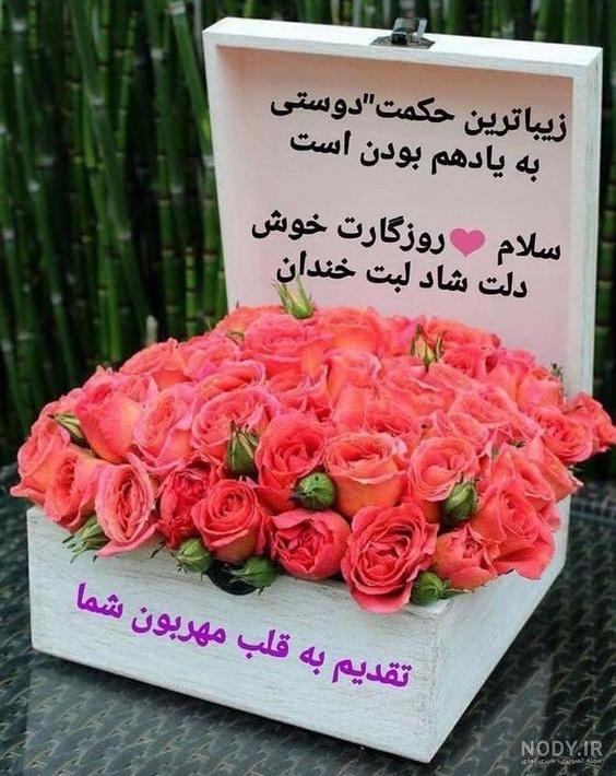 تصاویر صبح بخیر روز یکشنبه