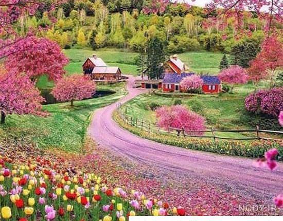 تصویر عکس پروفایل طبیعت 704821 تصویر عکس پروفایل طبیعت 704821