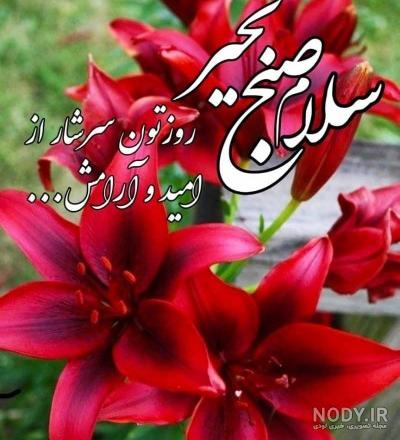 جدیدترین متن و عکس نوشته های زیبا صبح دوشنبه بخیر - تبریکده