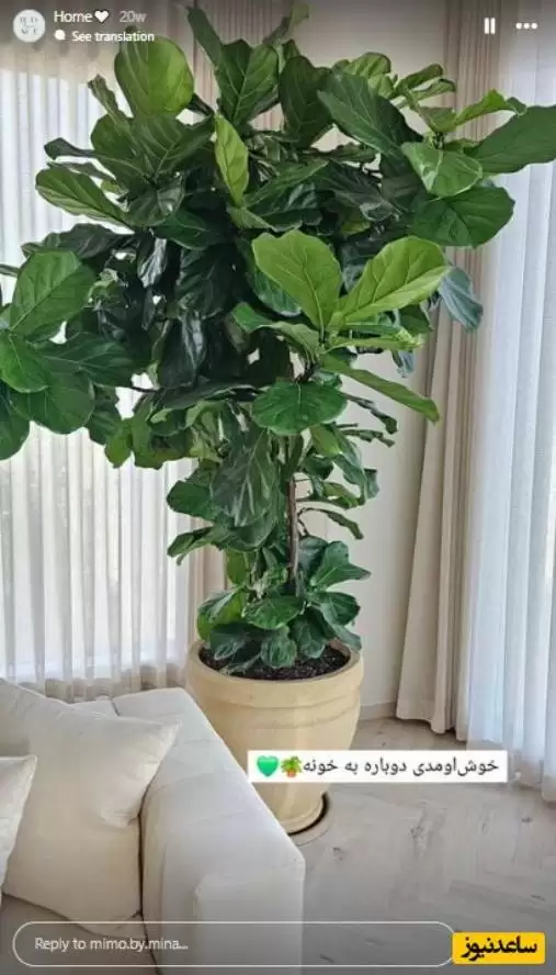 خانه ها و ویلاهای لوکس و گران بازیگران ترکی 🏠 , سریال ترکی ریحان ،زلیخا ،  سیب ممنوعه, فاطما گل