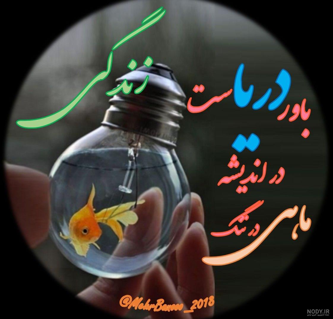 دل نوشته: ماهی قرمز عیدانه🌼🌸 دل نوشته: ماهی قرمز عیدانه🌼🌸