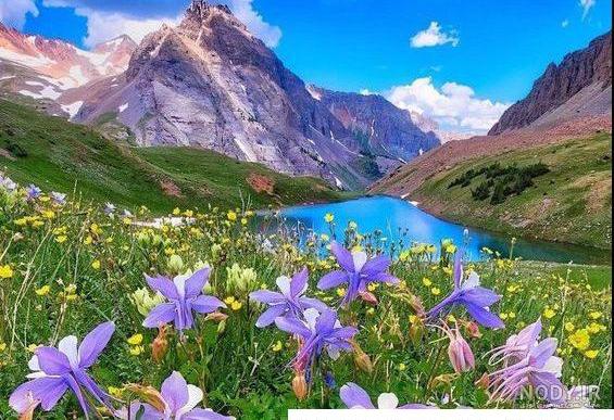عکس پروفایل زیبا از طبیعت عکس پروفایل زیبا از طبیعت