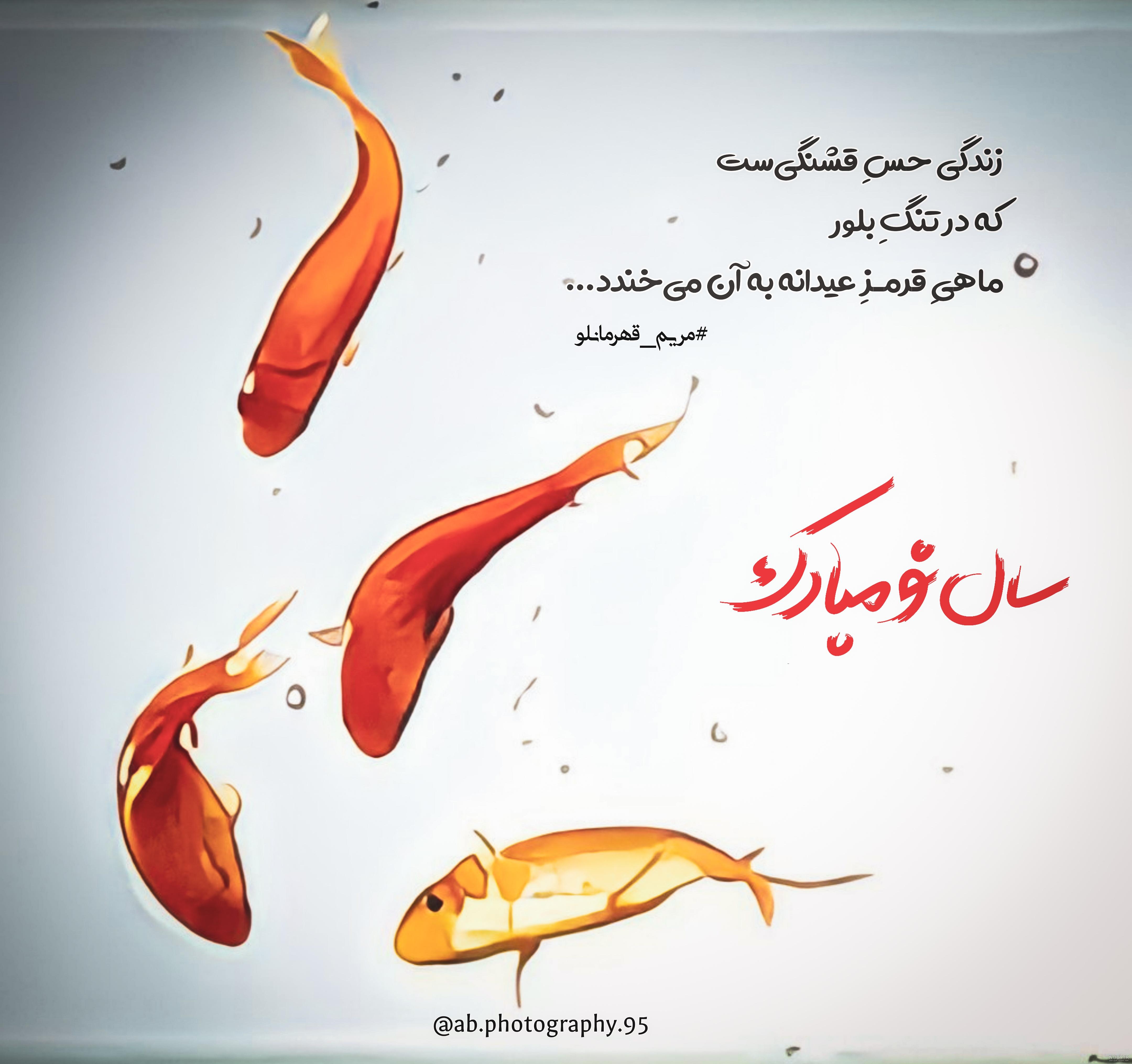 عکس پروفایل ماهی قرمز عید نوروز عکس پروفایل ماهی قرمز عید نوروز