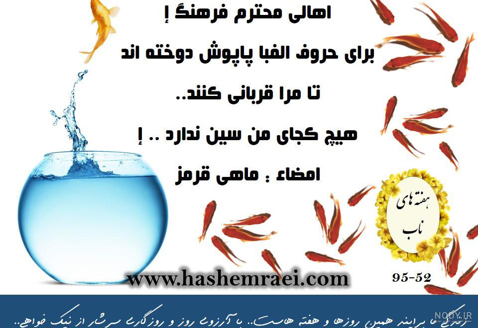 عکس پروفایل ماهی قرمز | پروفایل گرام عکس پروفایل ماهی قرمز | پروفایل گرام