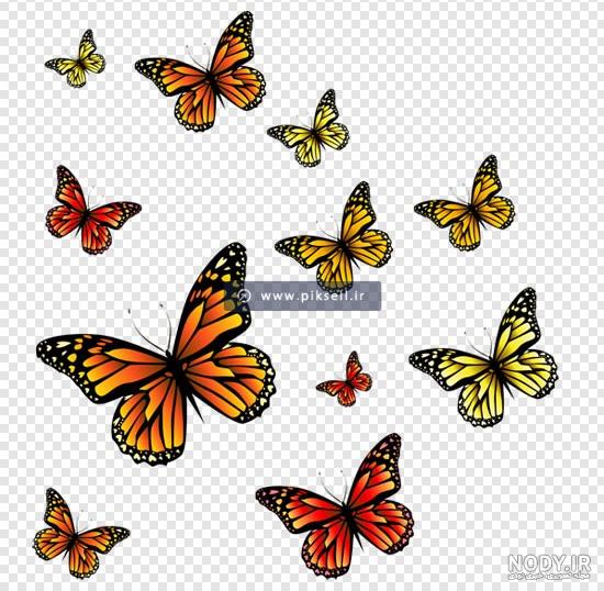 عکس های png با کیفیت رایگان