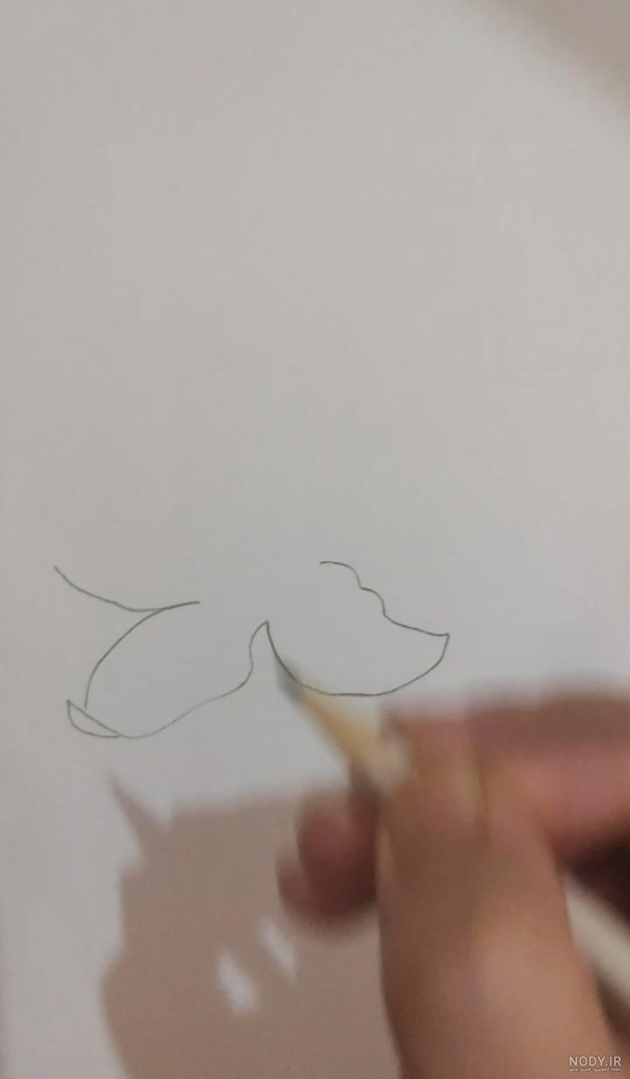 عکس نقاشی گل یاس ساده