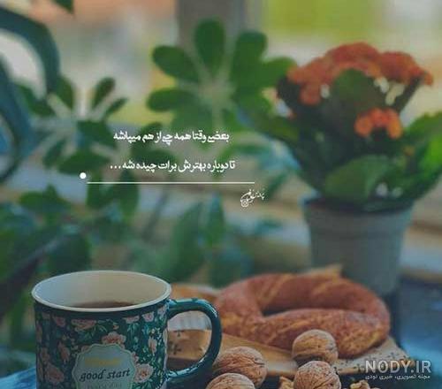 ناگفته‌های جالب یکی از نوادگان بانوی سردار ایران «بی‌بی مریم»