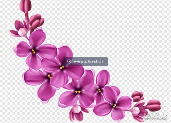 نقاشی گل یاس بنفش کودکانه