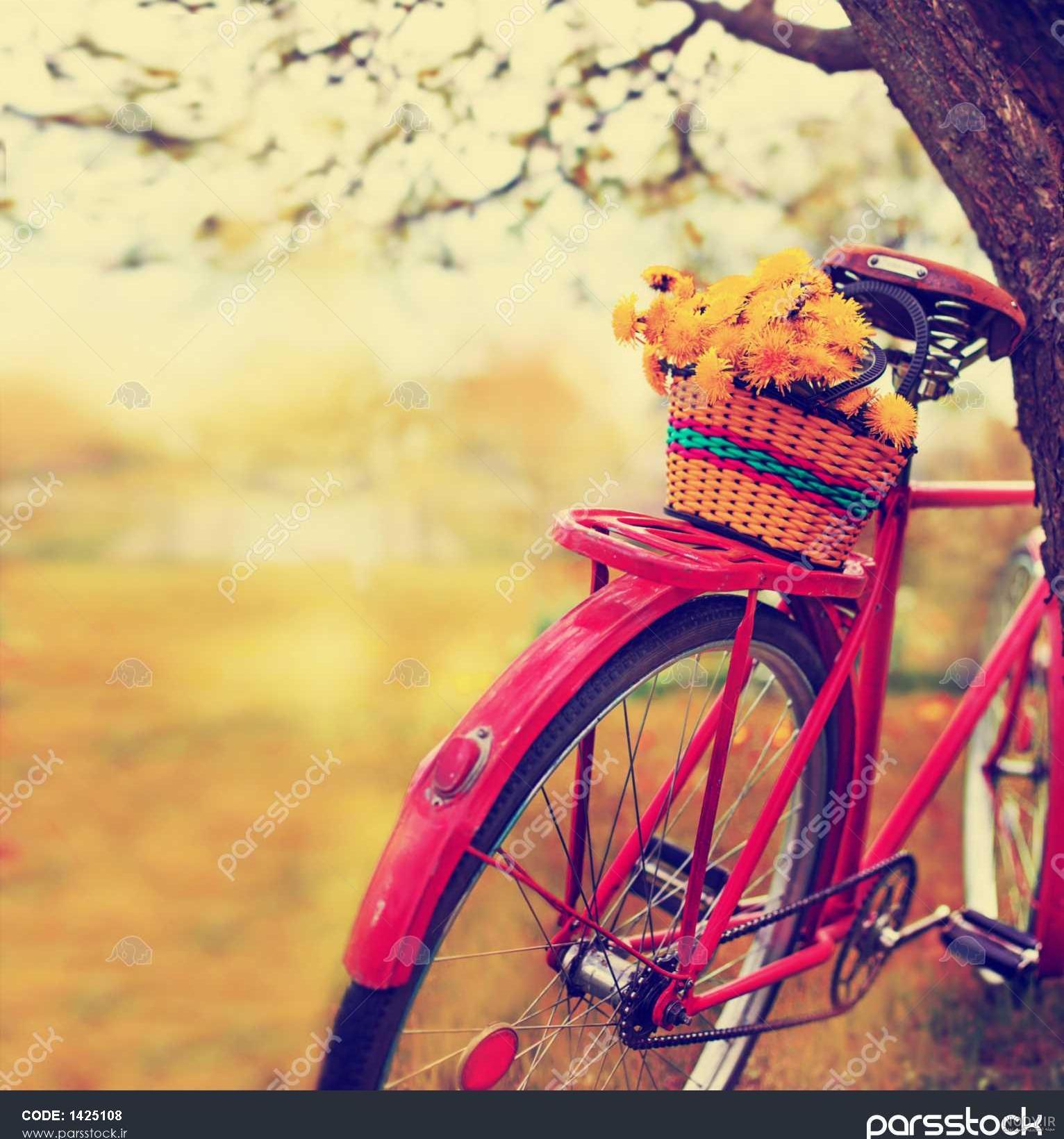 عکس دوچرخه سواری برای پروفایل