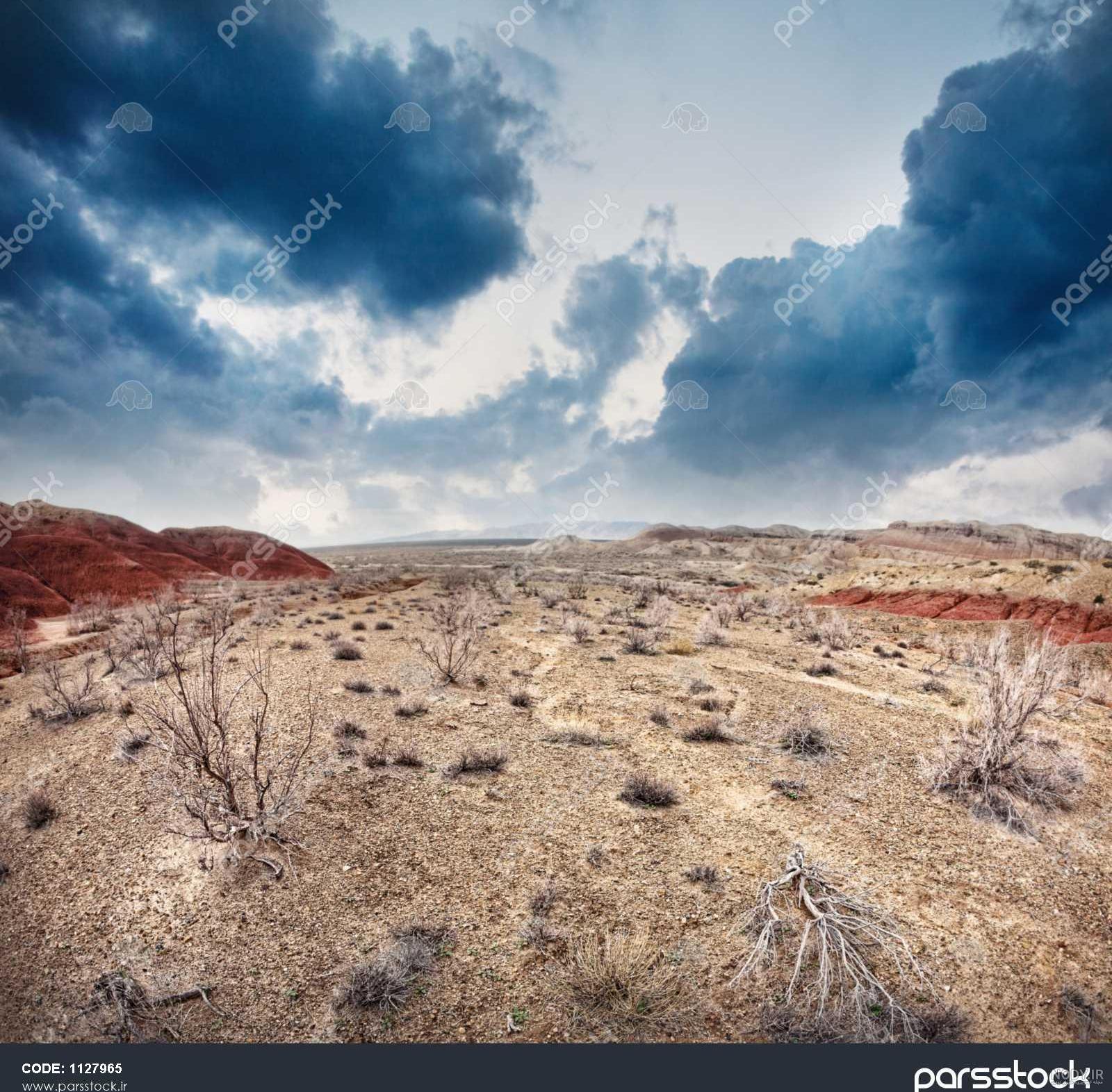 آسمان و زمین - گالری تصاویر نقش