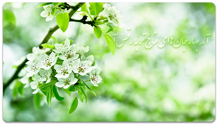 🌈خاطرات شکلاتی🌈 | آمد بهار جان ها😍 🌈خاطرات شکلاتی🌈 | آمد بهار جان ها😍