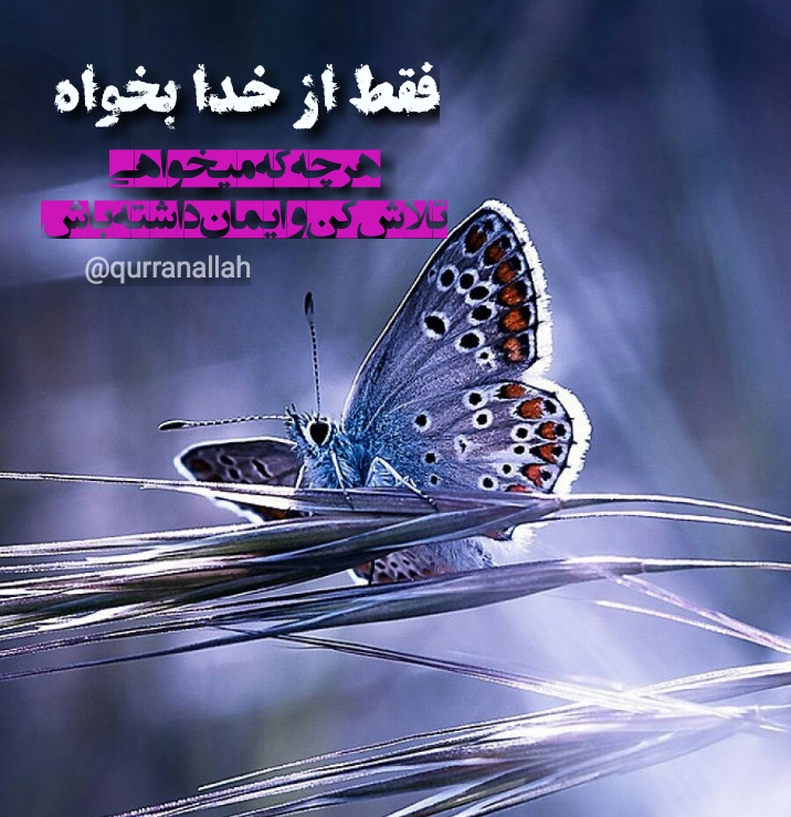 خدایا شکرت | 130 عکس نوشته «خدایا شکرت» برای پروفایل - دلبرانه خدایا شکرت | 130 عکس نوشته «خدایا شکرت» برای پروفایل - دلبرانه