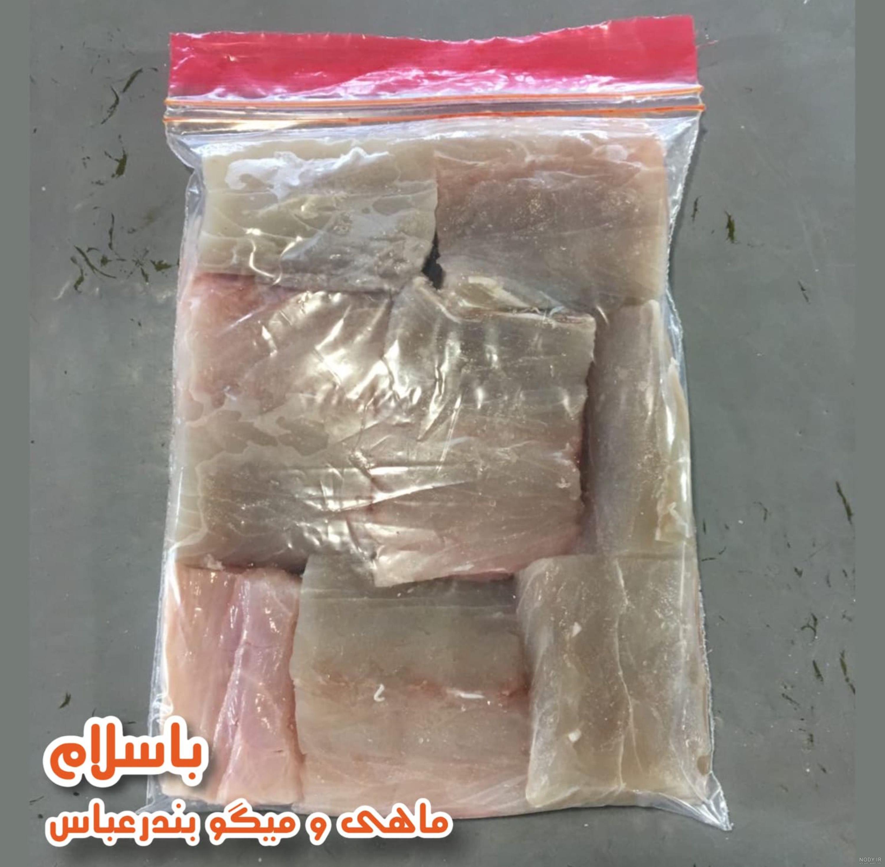 خرید و قیمت ماهی قدر دم زرد از غرفه فروشگاه انلاین ماهی و میگو قشم خرید و قیمت ماهی قدر دم زرد از غرفه فروشگاه انلاین ماهی و میگو قشم