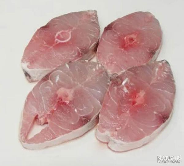 خرید و قیمت ماهی گلدفیش کله شیری - مرجان دریایی خرید و قیمت ماهی گلدفیش کله شیری - مرجان دریایی