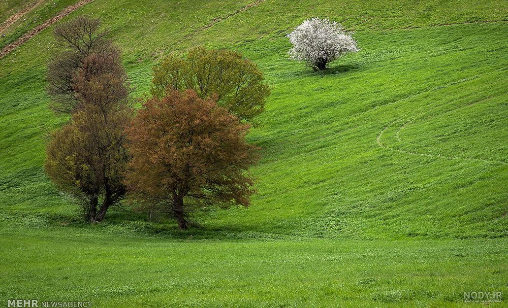 زیبایی های بکر طبیعت مازندران (+عکس)