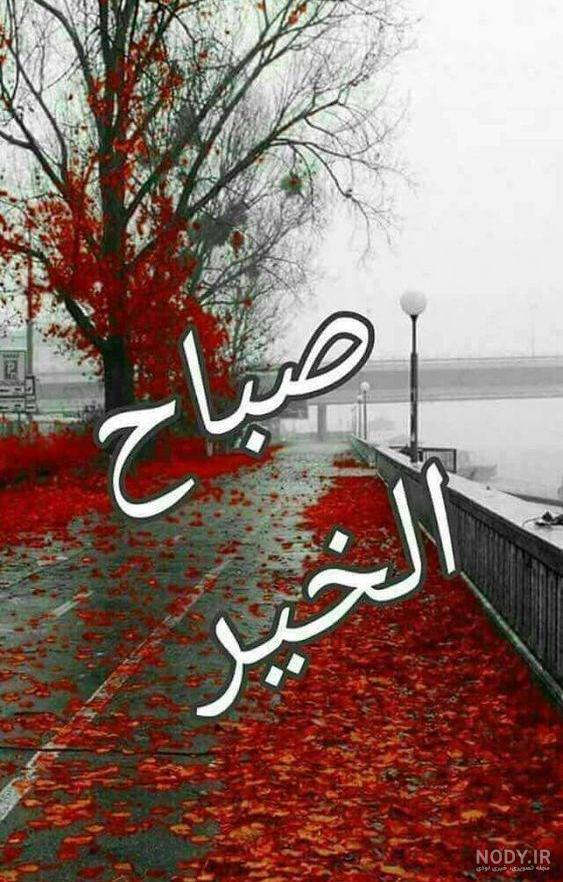عکس سلام صبح بخیر روز جمعه عکس سلام صبح بخیر روز جمعه