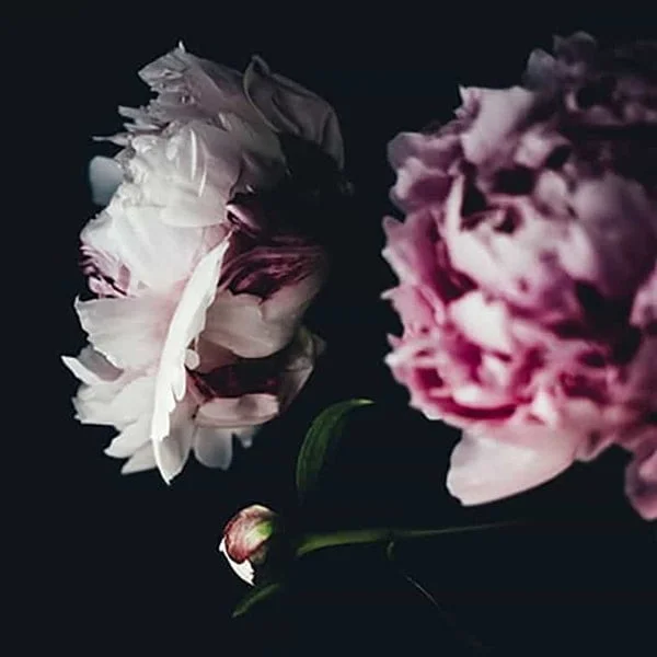 عکس نوشته تشکر تسلیت