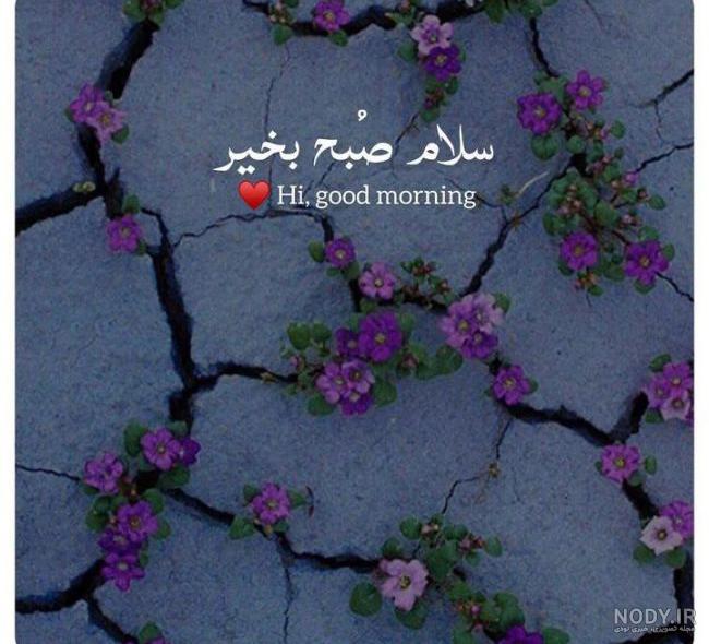عکس نوشته صبح بخیر داداش