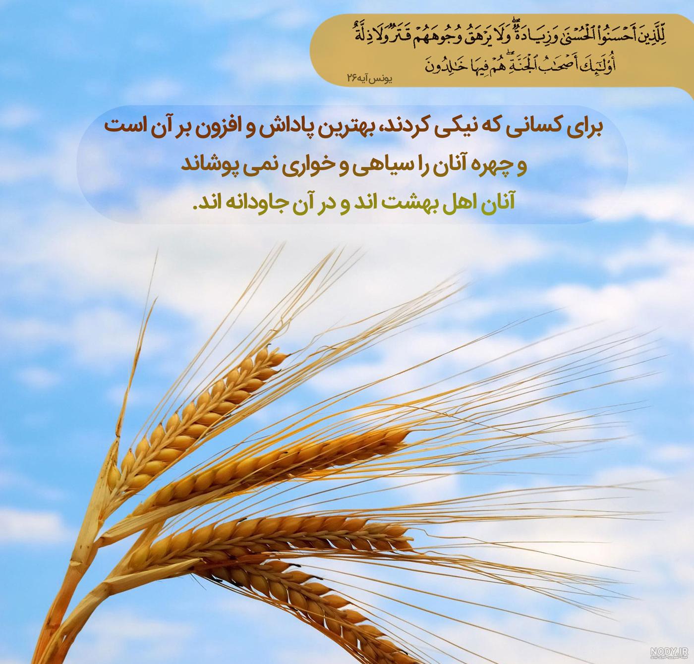 عکس نوشته قرآنی؛ زیباترین عکس نوشته های آیات قرآن با ترجمه - ستاره