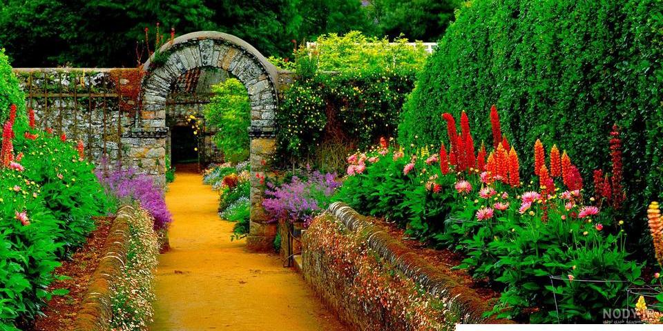 عکس پروفایل طبیعت شب عکس پروفایل طبیعت شب