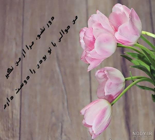 عکس گل عاشقانه برای پروفایل با متن های جدید رمانتیک و احساسی