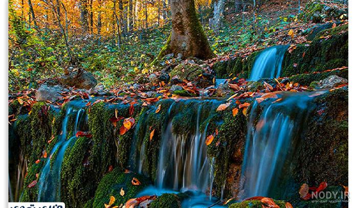 عکسهای از طبیعت زیبای شمال