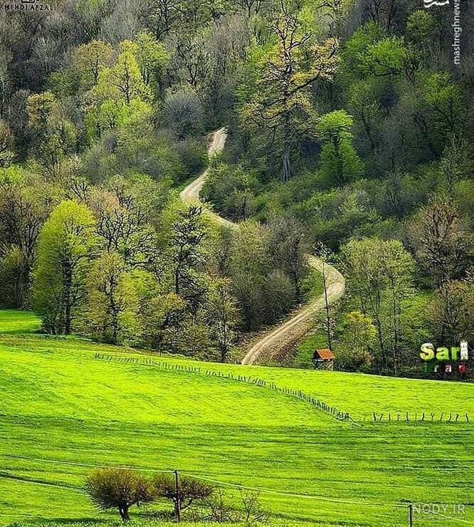 عکسهای از طبیعت زیبای شمال