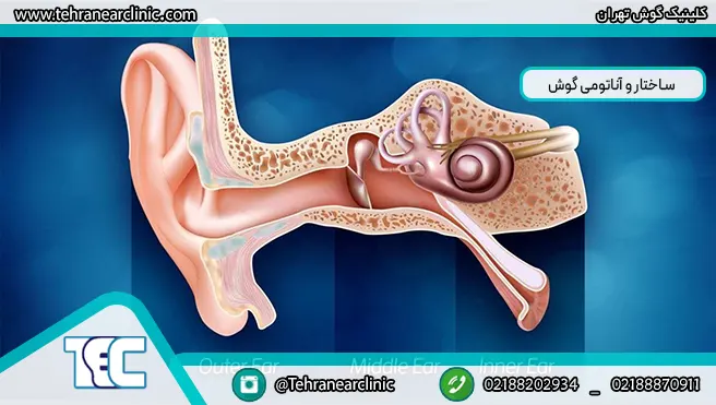 کلستاتوم یا کیست گوش؛ علائم و درمان آن با عمل جراحی کلستاتوم یا کیست گوش؛ علائم و درمان آن با عمل جراحی