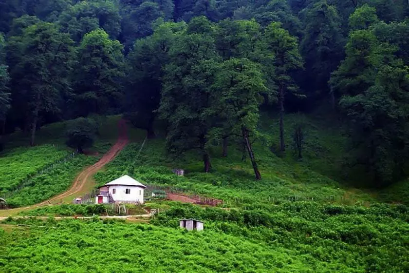 گزارش تصویری از طبیعت زیبای مازندران در فصل بهار