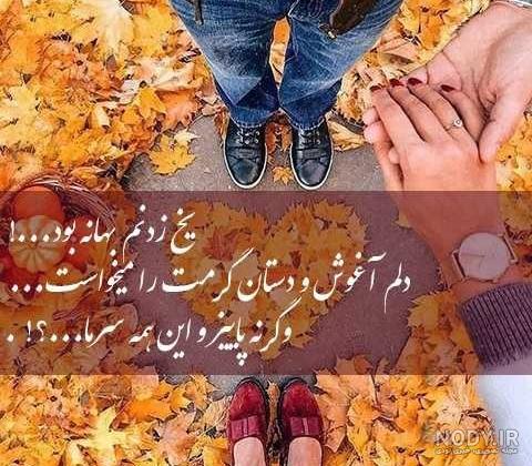 بیش از 55 پیام تبریک تولد آذر ماهی ها به همراه عکس