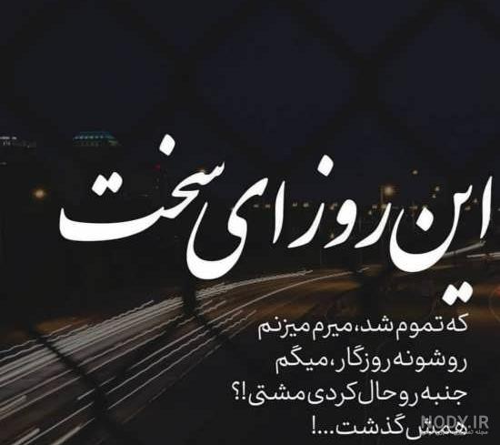 تصاویر| سلطان جنگل، خسته و ژولیده | خبرنامه دانشجویان ایران تصاویر| سلطان جنگل، خسته و ژولیده | خبرنامه دانشجویان ایران
