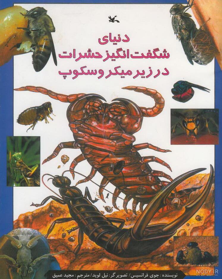 تصاویر میکروسکوپی از هیولاهای نامرئی! - تابناک | TABNAK