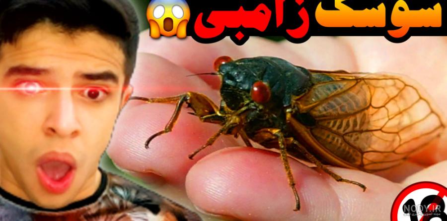تصویری وحشتناک از صورت یک مورچه !+ عکس
