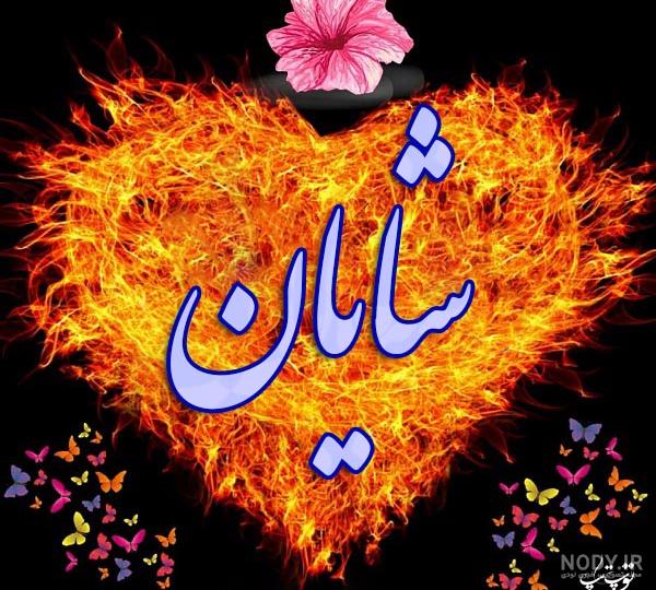 جدیدترین عکس نوشته های اسم شایان برای پروفایل - تــــــــوپ تـــــــــاپ